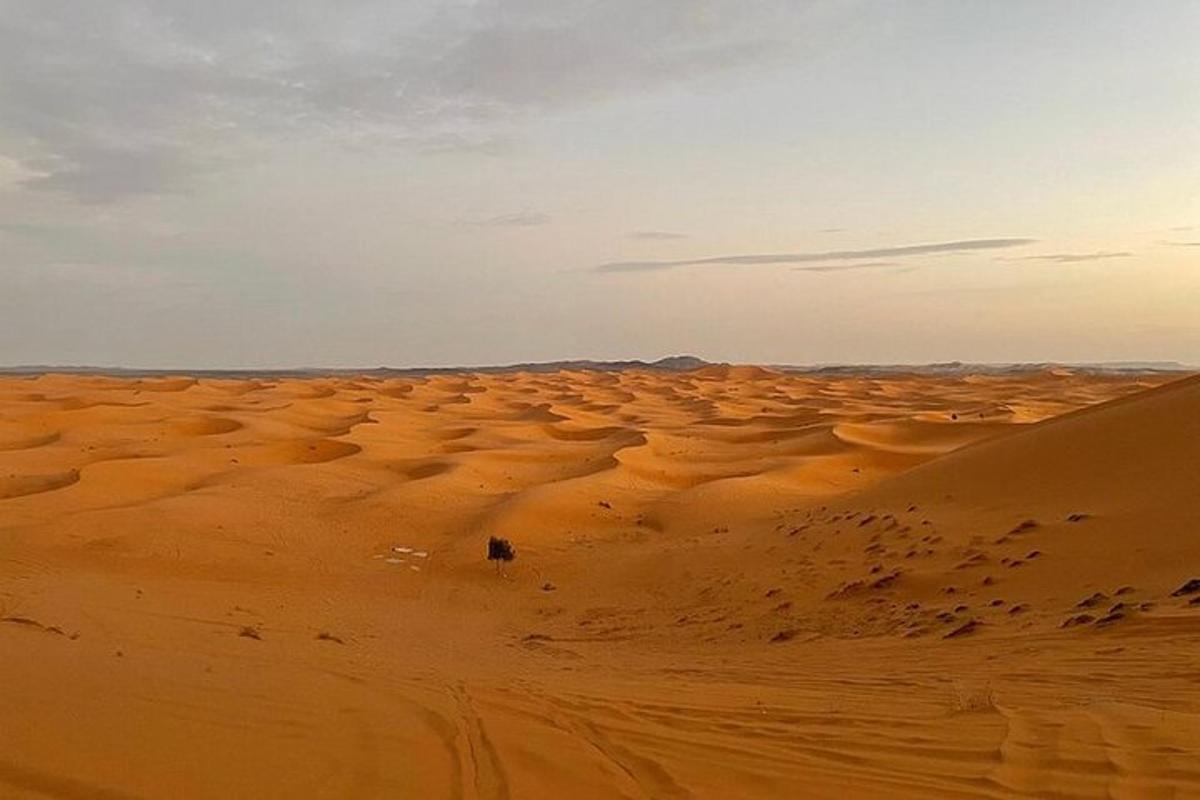 uma pessoa parada no meio de um deserto