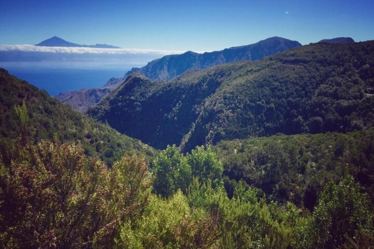 Lankytinos vietos ar pramogos nuotrauka numeris 3