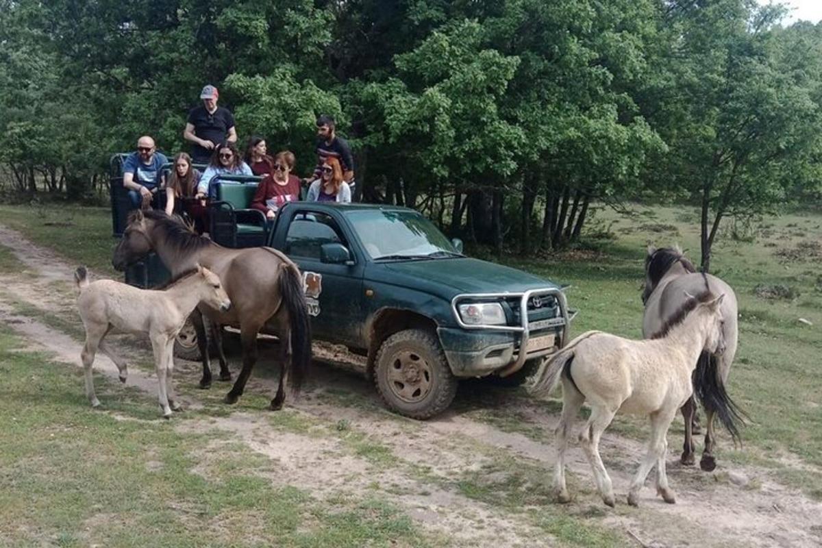 Slika znamenitosti številka 5