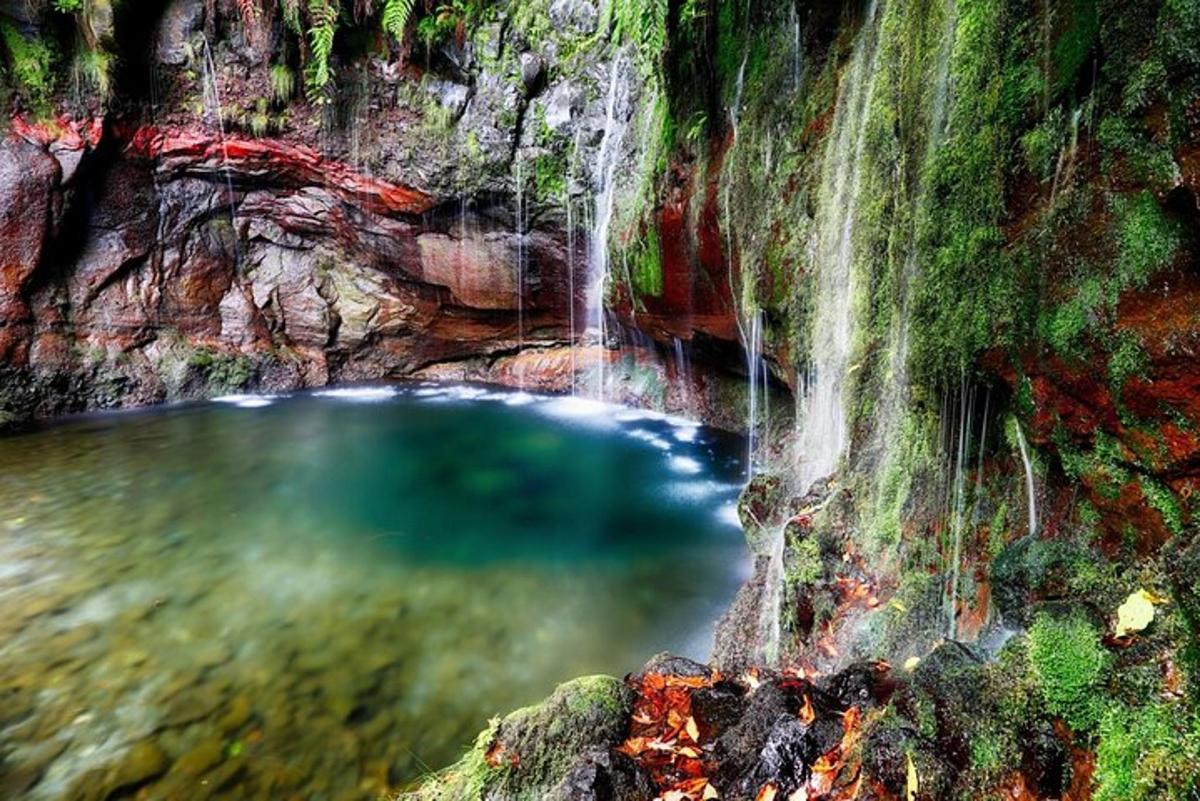 a pool of water in a canyon with a waterfall