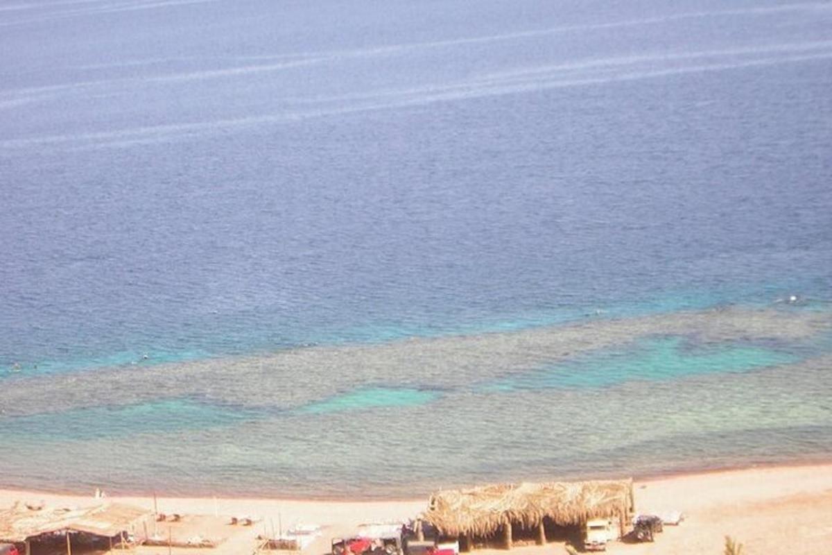 海とビーチの空中写真