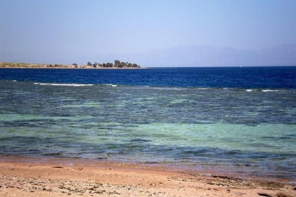 a beach with a body of water with trees in the distance