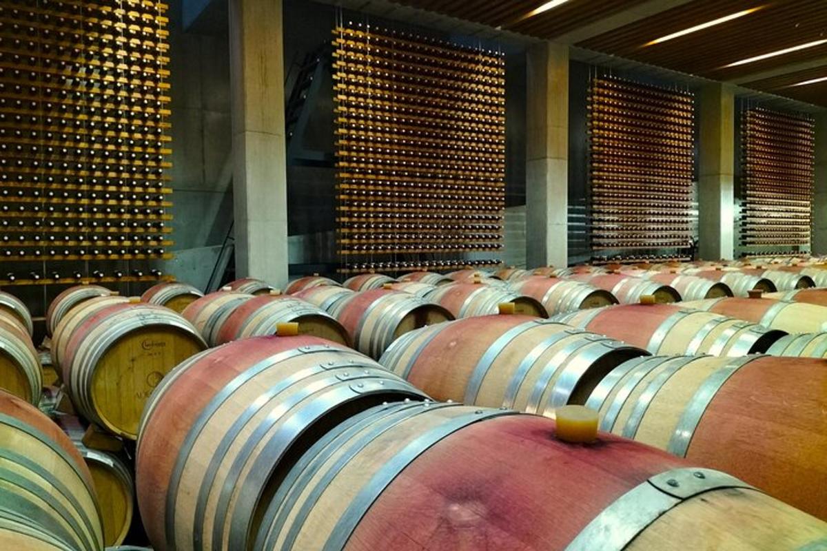 a row of wine barrels in a large room