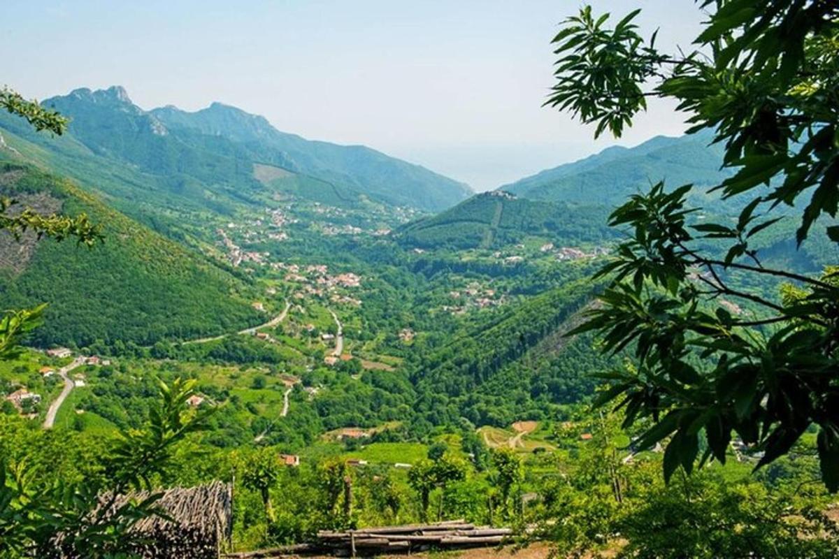 pohled na údolí s horami v pozadí