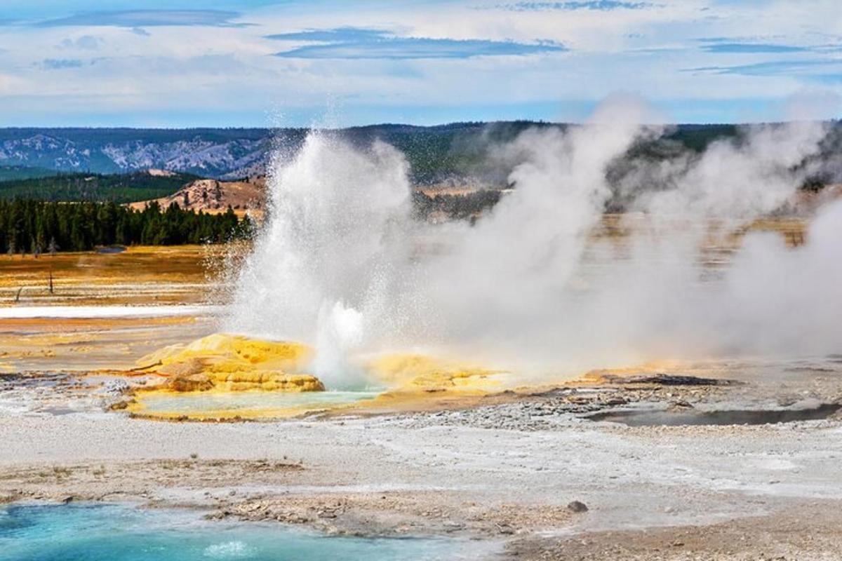 a geyser in the middle of a field