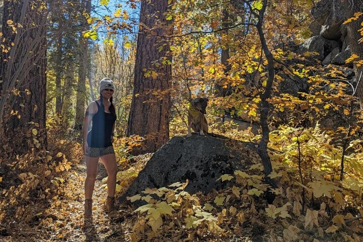 a woman and a dog on a rock in the woods