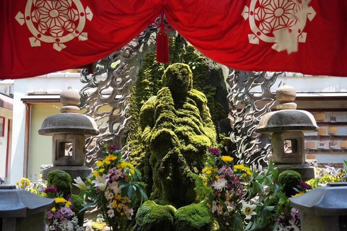 eine Ausstellung von Pflanzen und Blumen in einem Garten