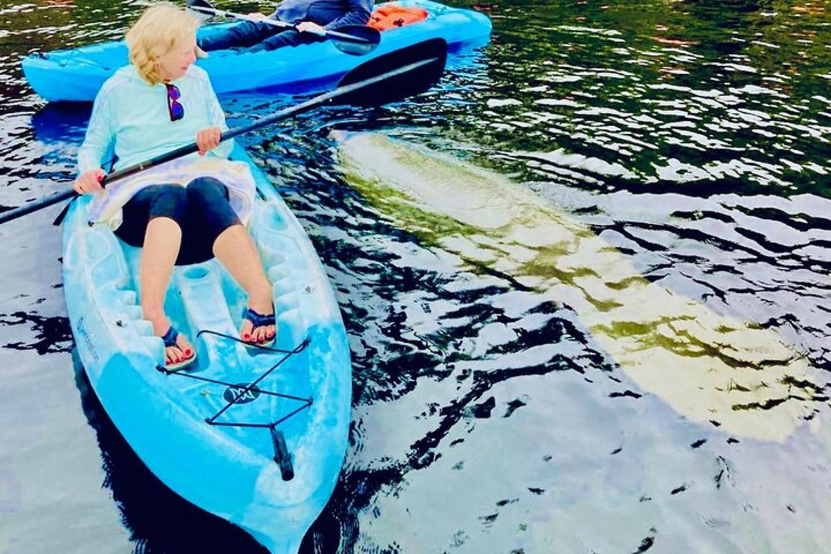 seorang budak lelaki dalam kayak biru di dalam air