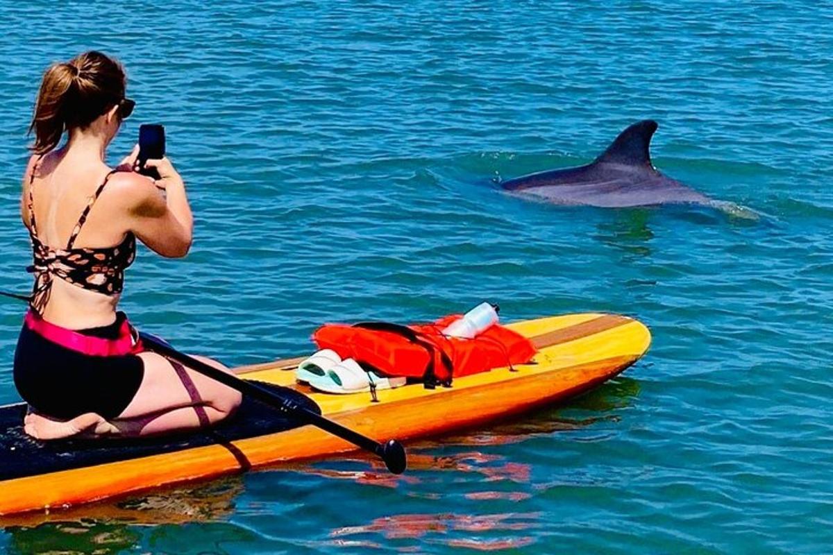 ženska fotografira delfina na kajaku