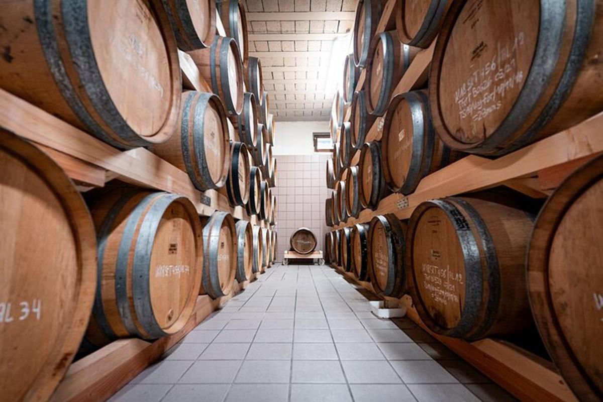 una fila di botti di vino in una cantina