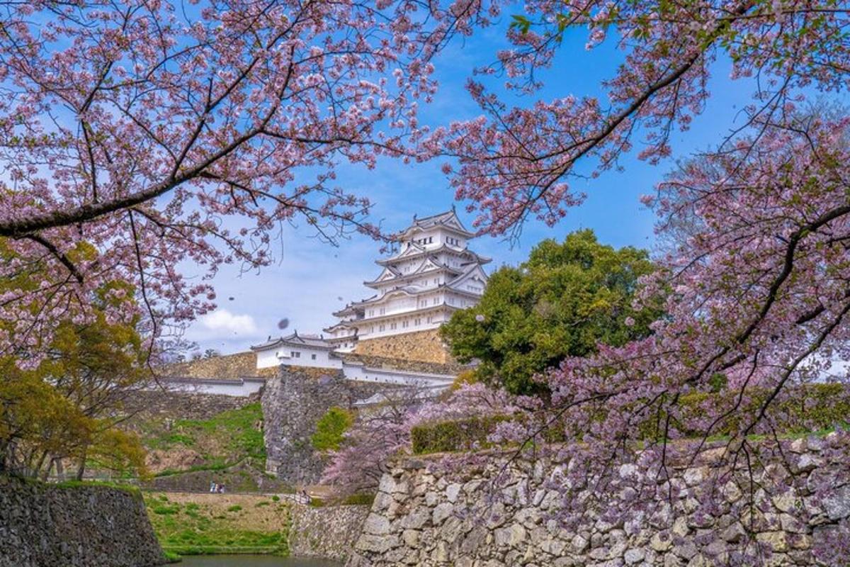 uma vista do palácio imperial através das árvores de akura