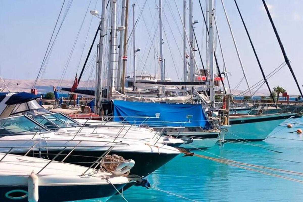 um grupo de barcos está atracado na água
