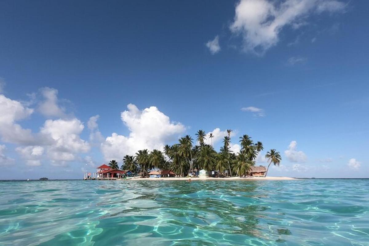 eine Insel im Ozean mit Palmen darauf