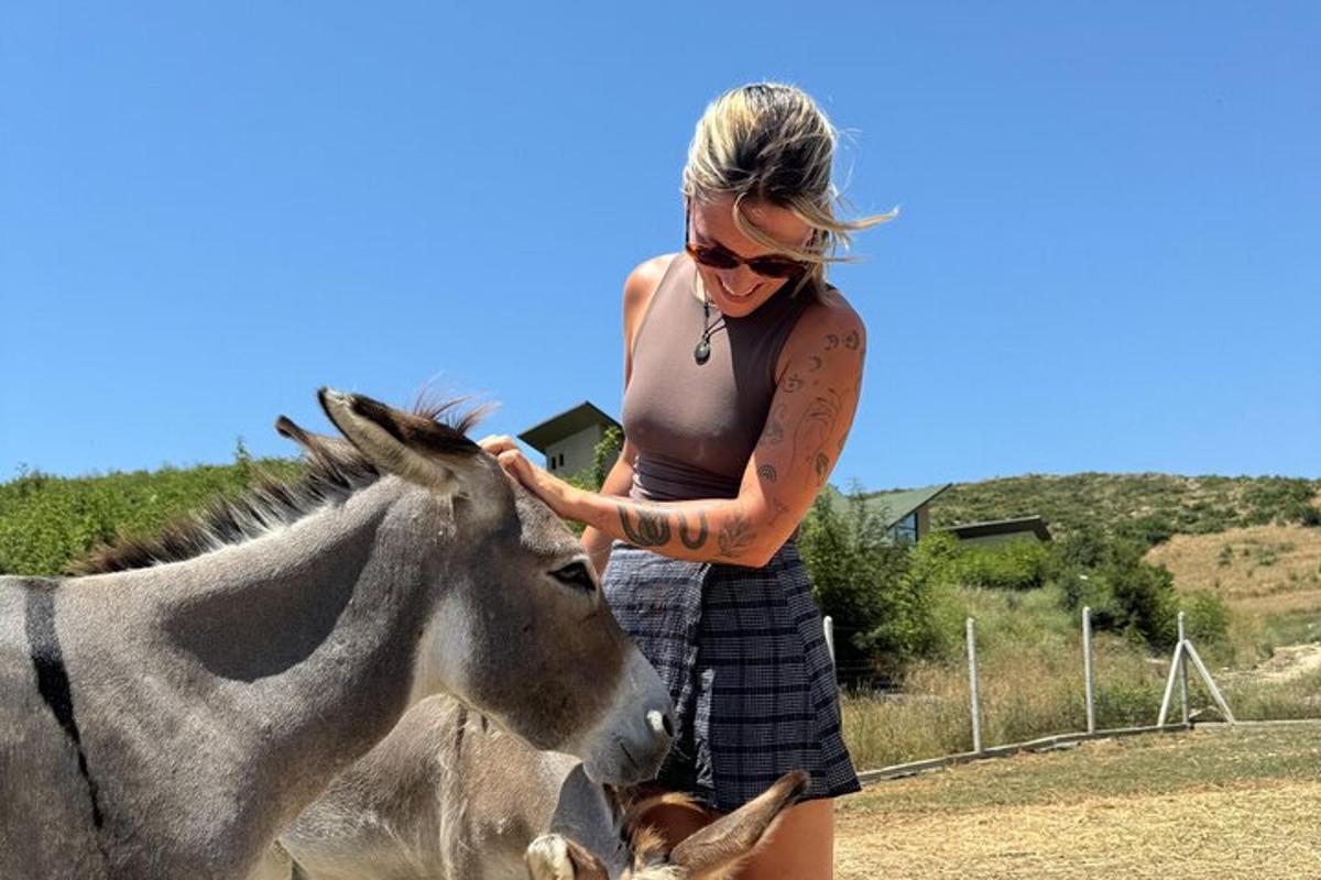 una dona acariciant un cavall en un camp
