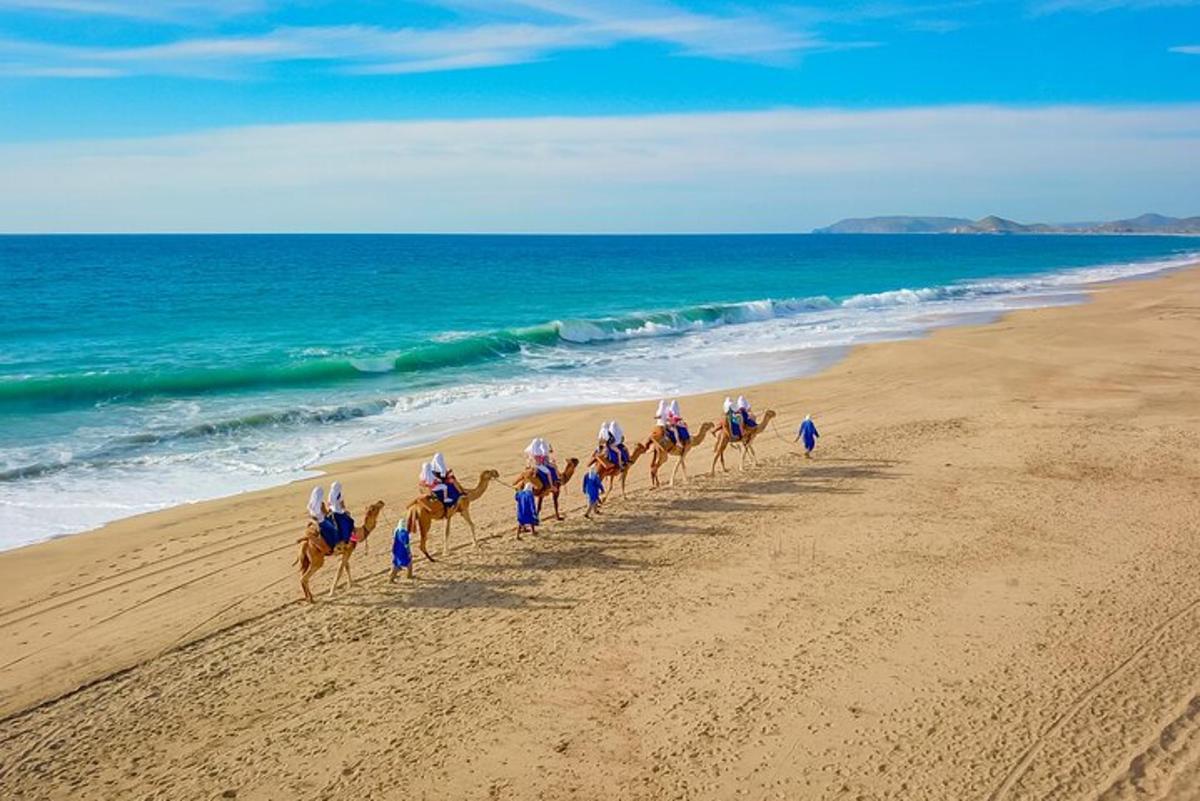 skupina ljudi, ki jahajo konje na plaži