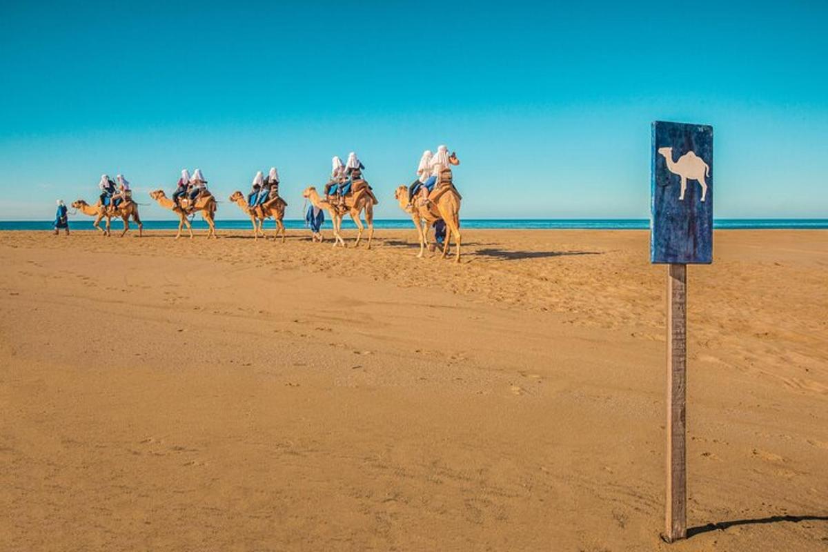 skupina ljudi, ki jahajo kamele na plaži