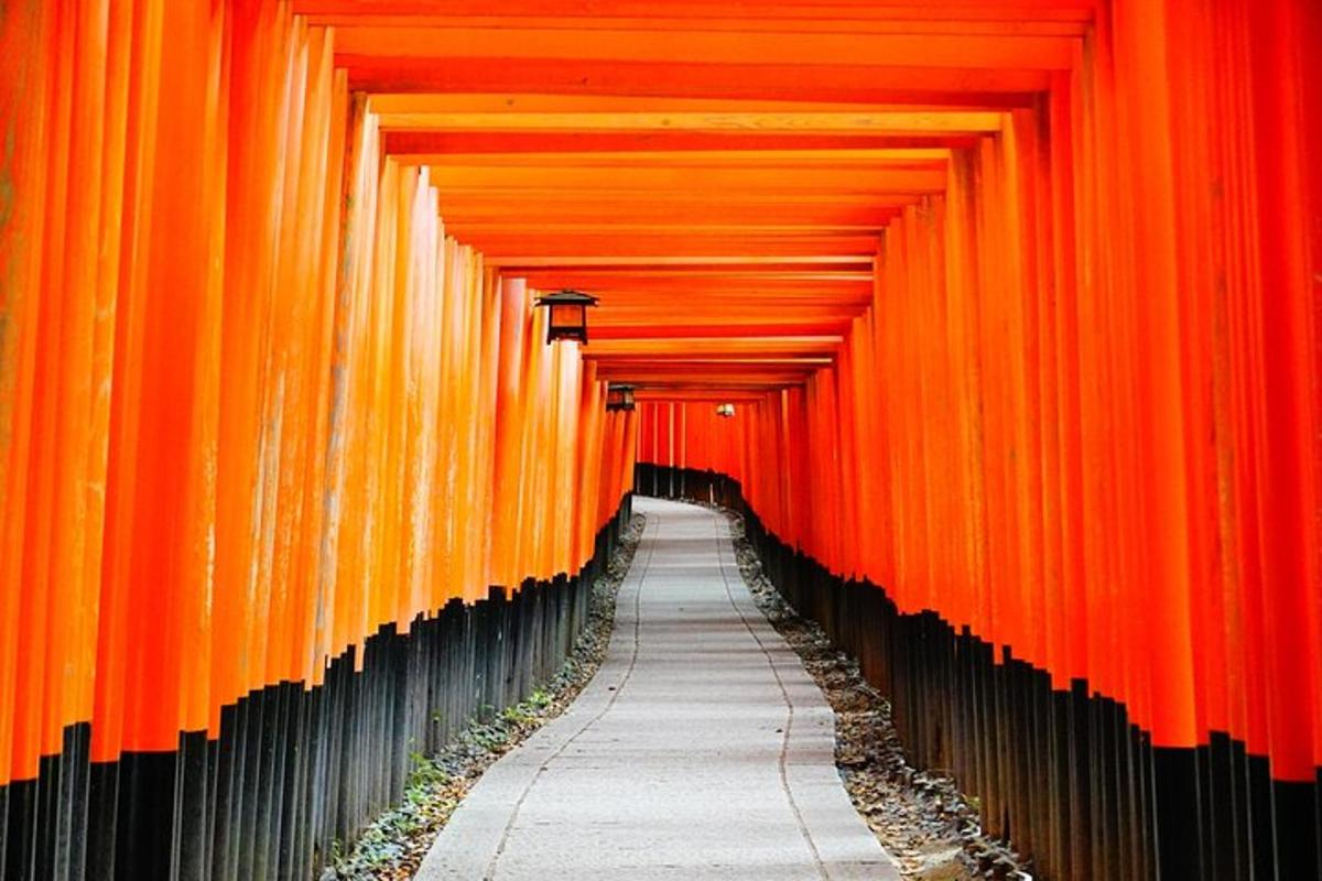 a corridor of orange torii gates at a shrine