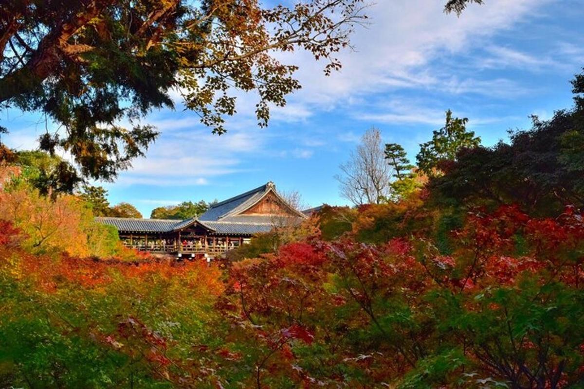 a building in the middle of a field of trees