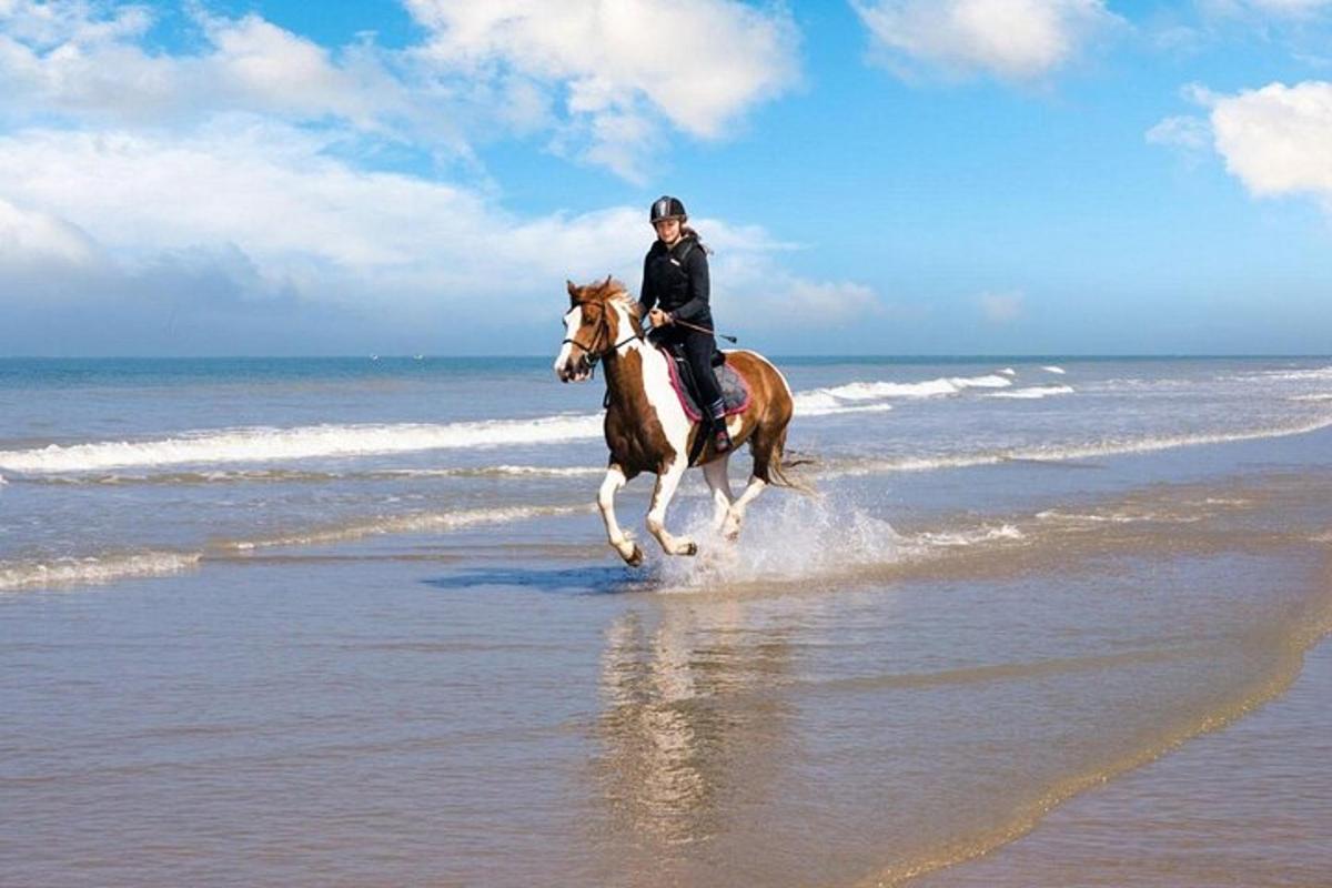 a woman riding a horse on the beach