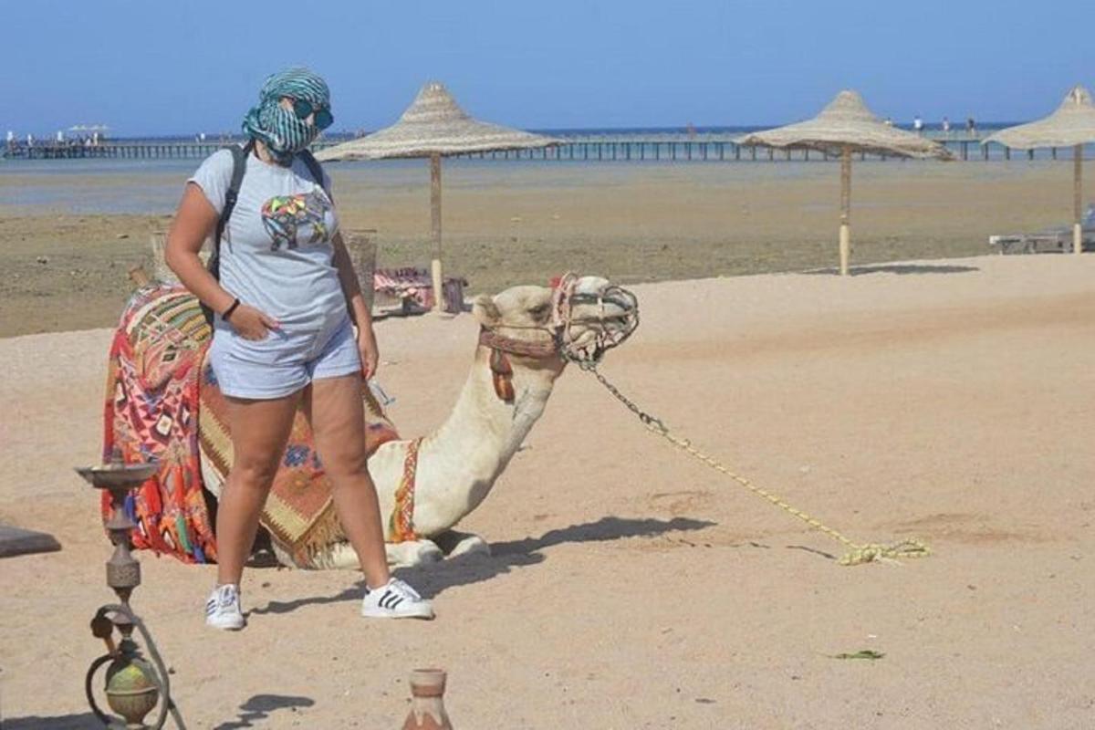 žena venčící velblouda na pláži