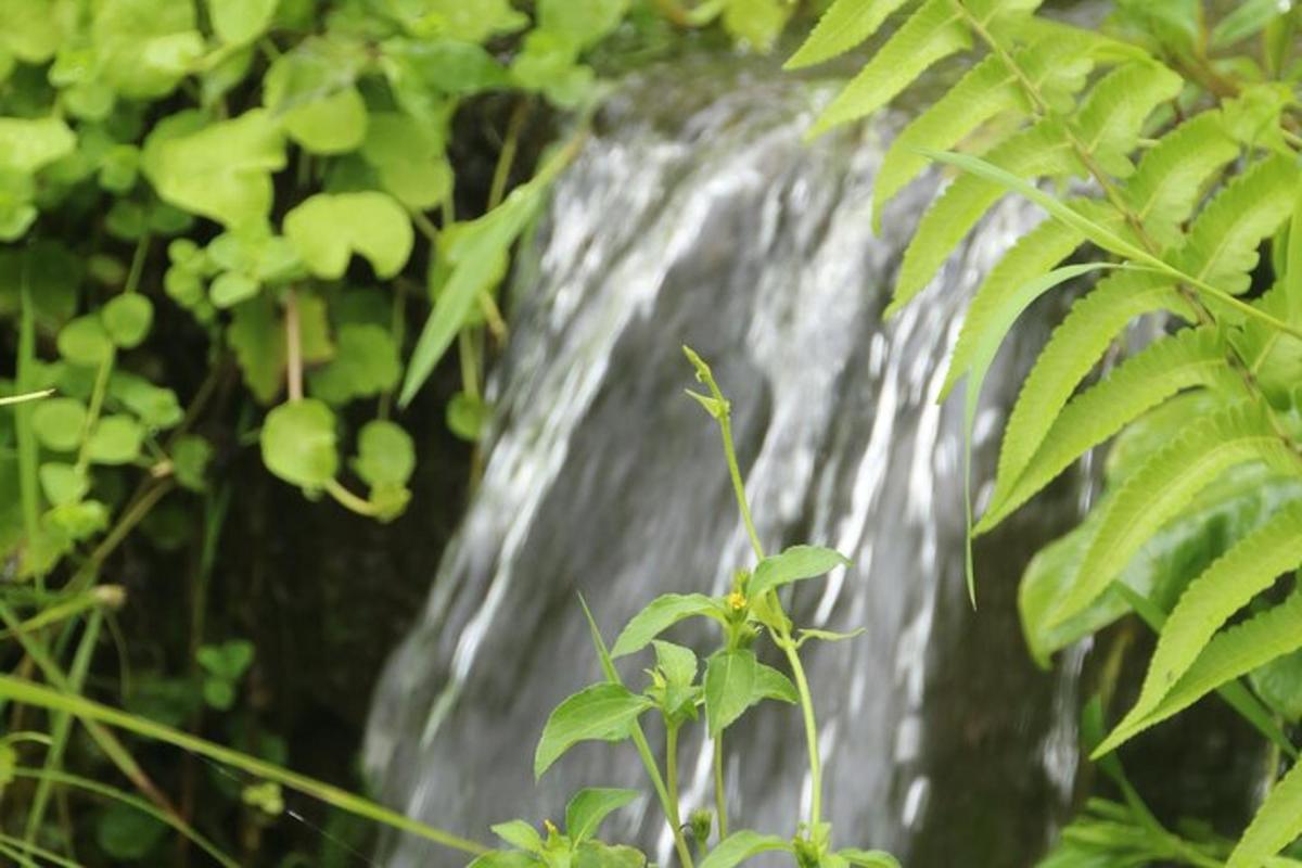 Fotografia 5 a atracției