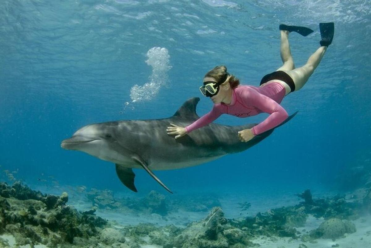 una donna sta nuotando con uno squalo nell'oceano