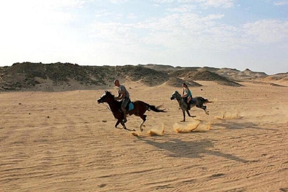 due persone a cavallo nel deserto
