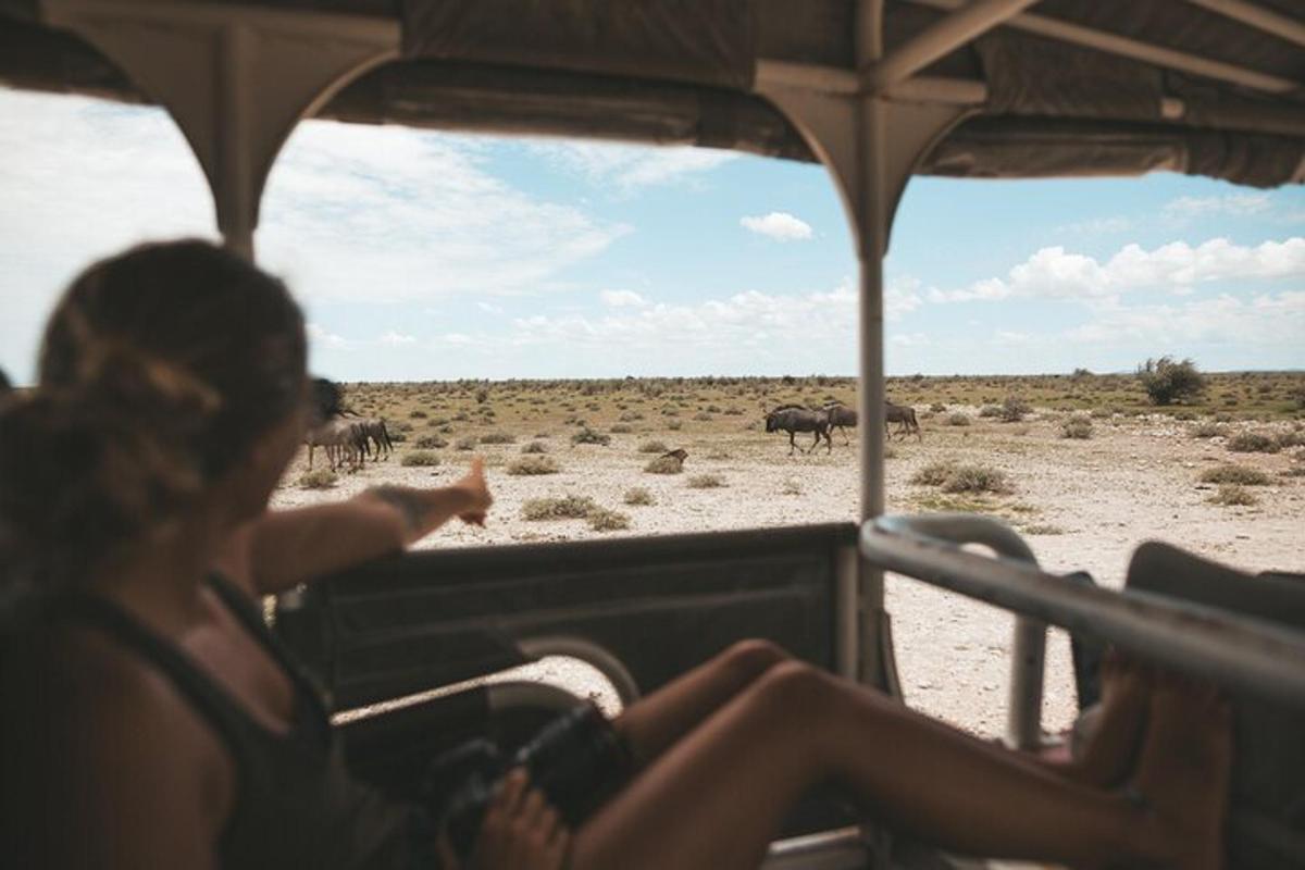 a group of people sitting in a vehicle looking at a herd of elephants