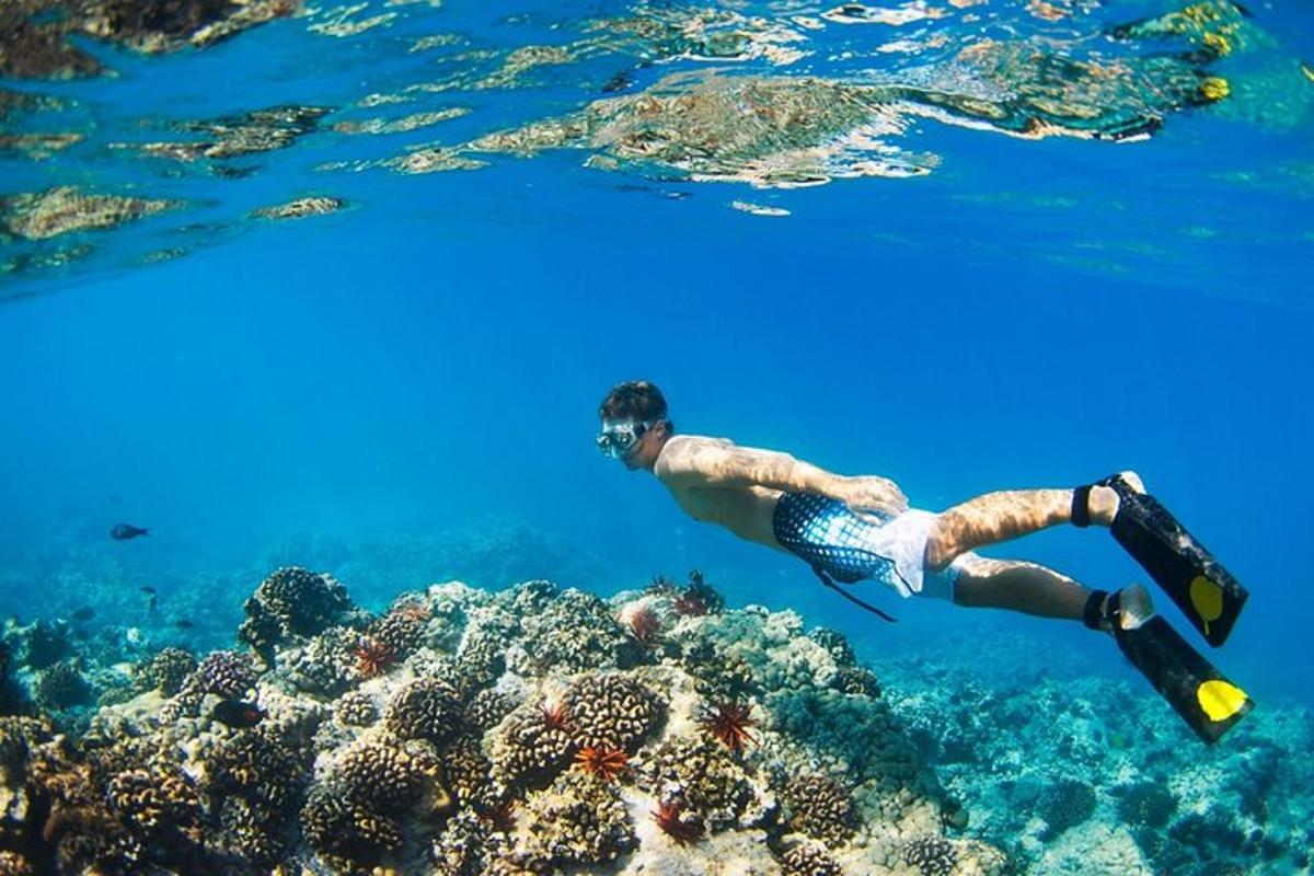 a man is swimming over a coral reef