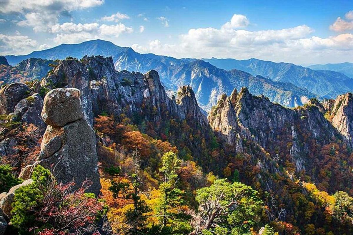 una vista di una montagna con alberi e rocce