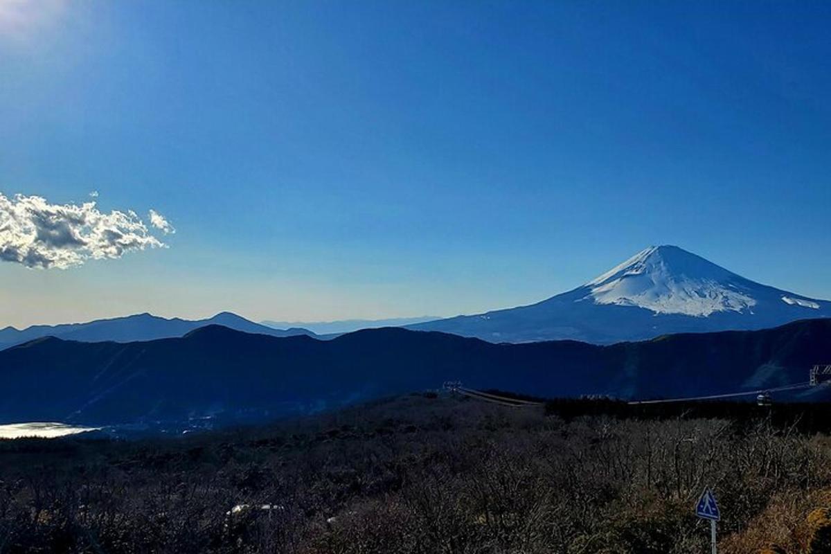 una montagna innevata in lontananza con un binario ferroviario di fronte