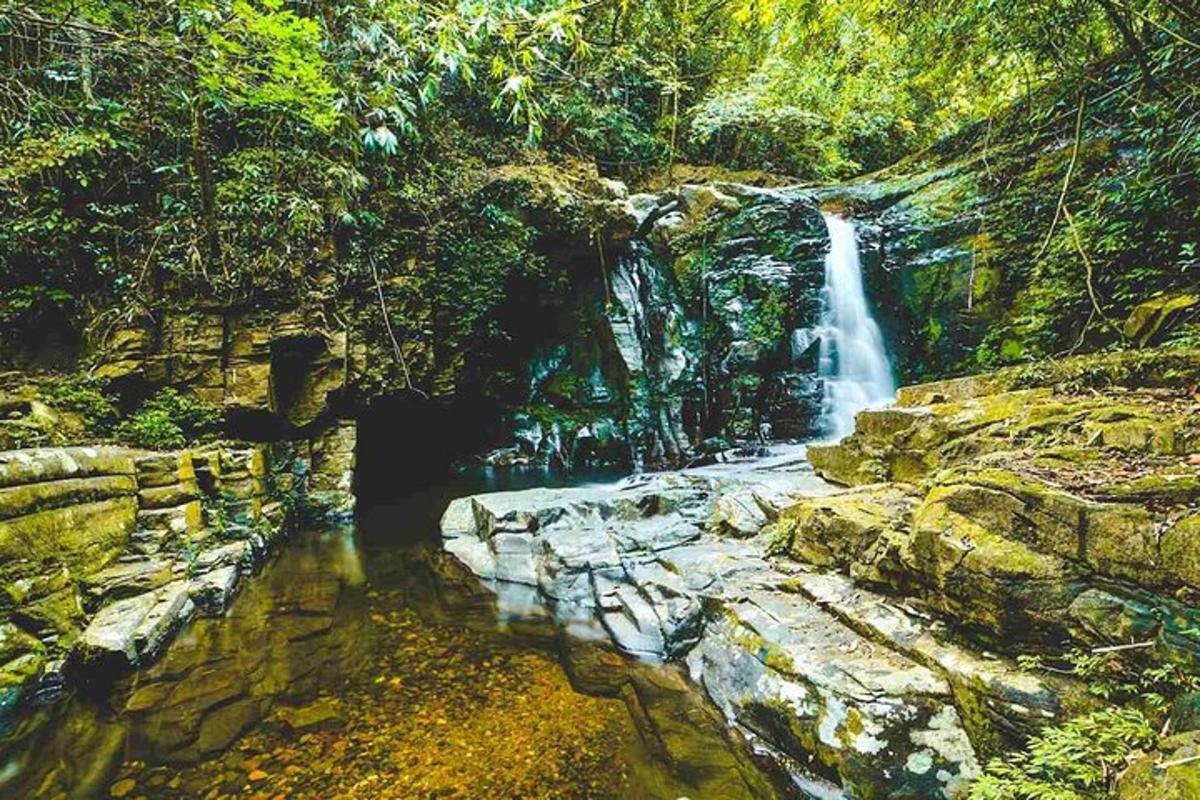 uma cachoeira no meio de uma floresta
