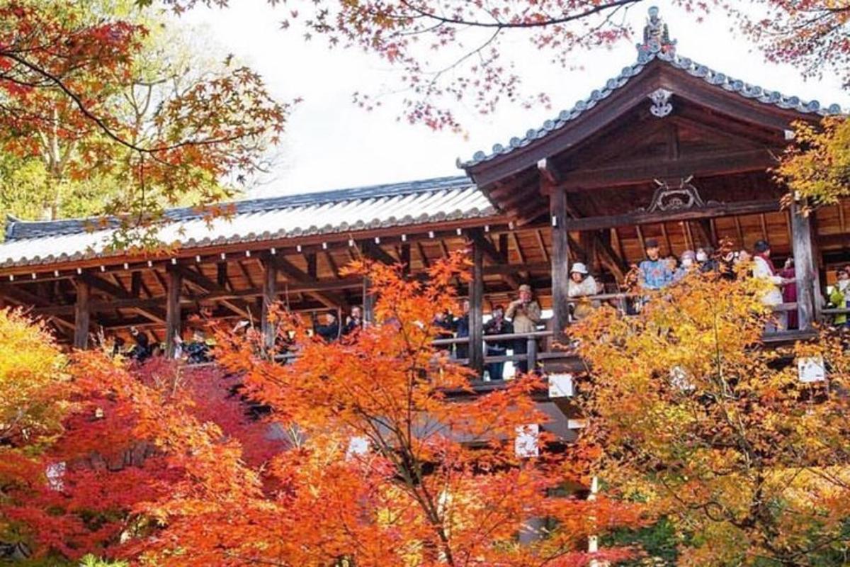 一栋建筑，里面坐着人们，还有秋天的落叶
