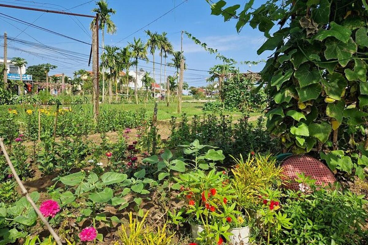 một khu vườn có hoa và cây trên một cánh đồng