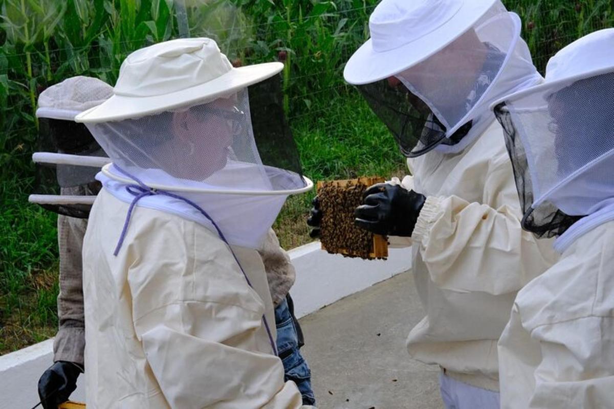 sekumpulan orang yang memakai alat pelindung dengan aumble bee