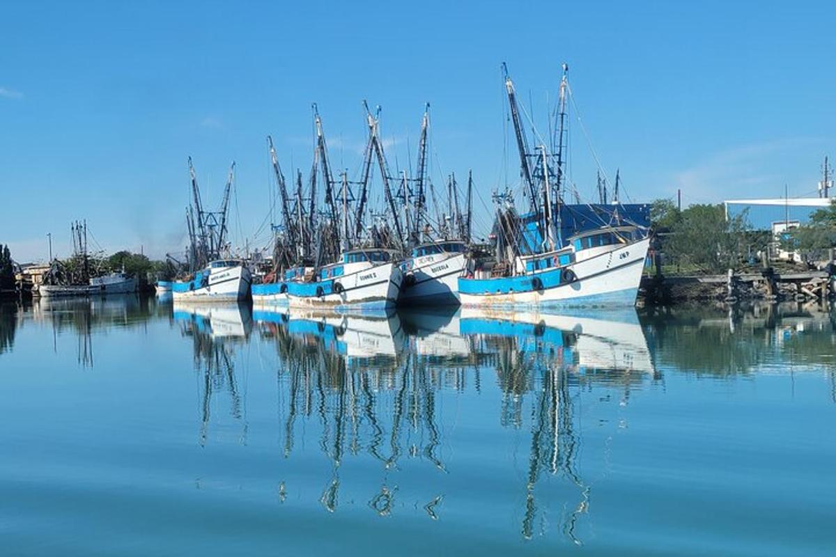 Lankytinos vietos ar pramogos nuotrauka numeris 6