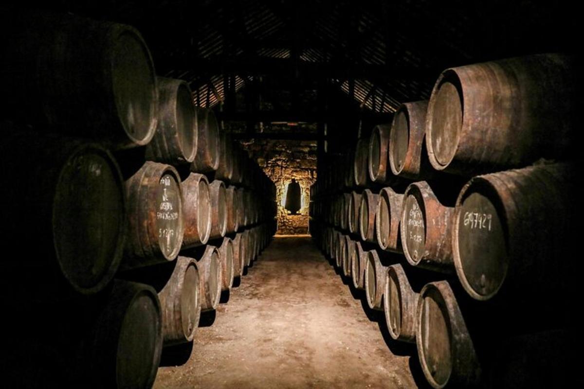 uma fileira de barris de vinho em uma adega