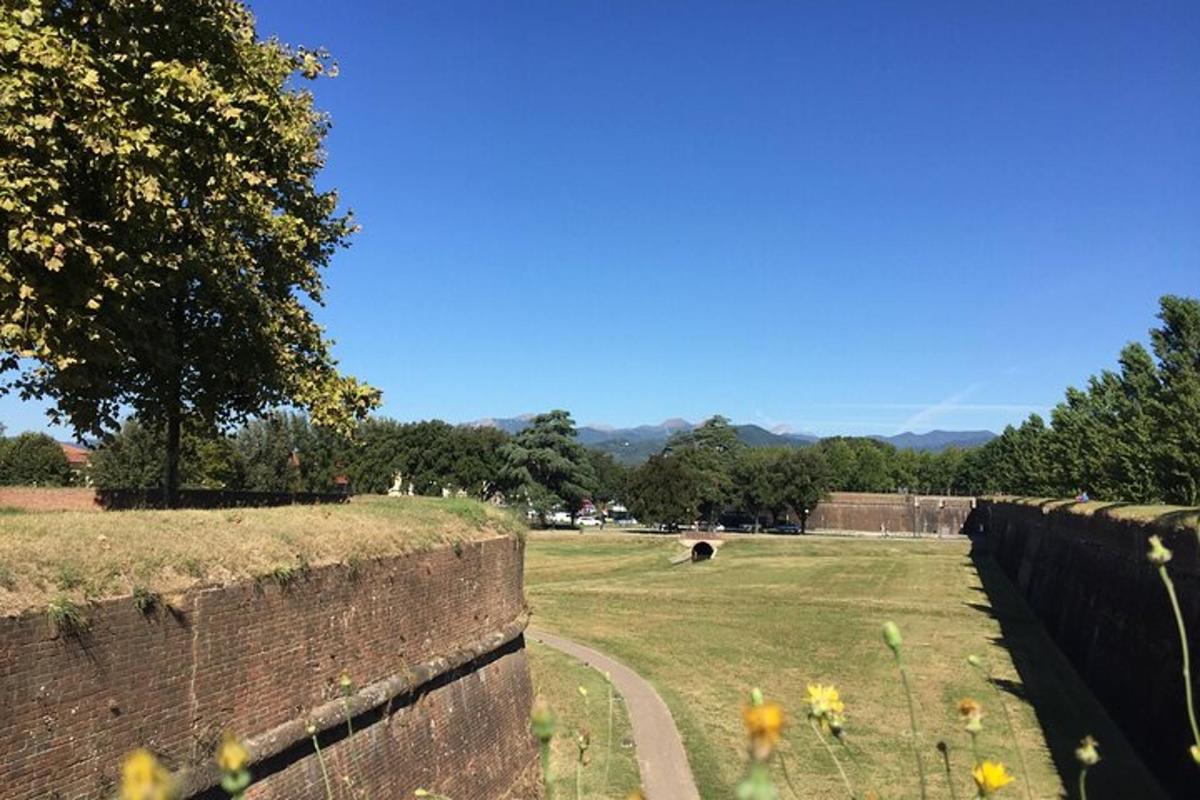 a brick wall and a field with a dog in the distance