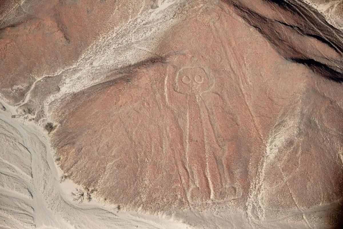 a rock with an alien painted on it