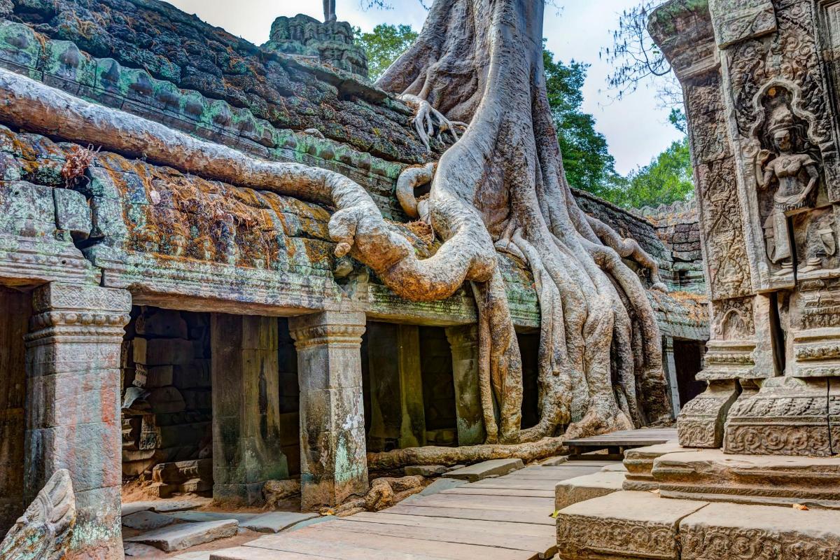 kuil dengan akar pokok tumbuh di atas bumbung