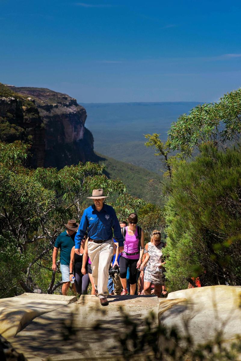 un grupo de personas caminando por un sendero de montaña