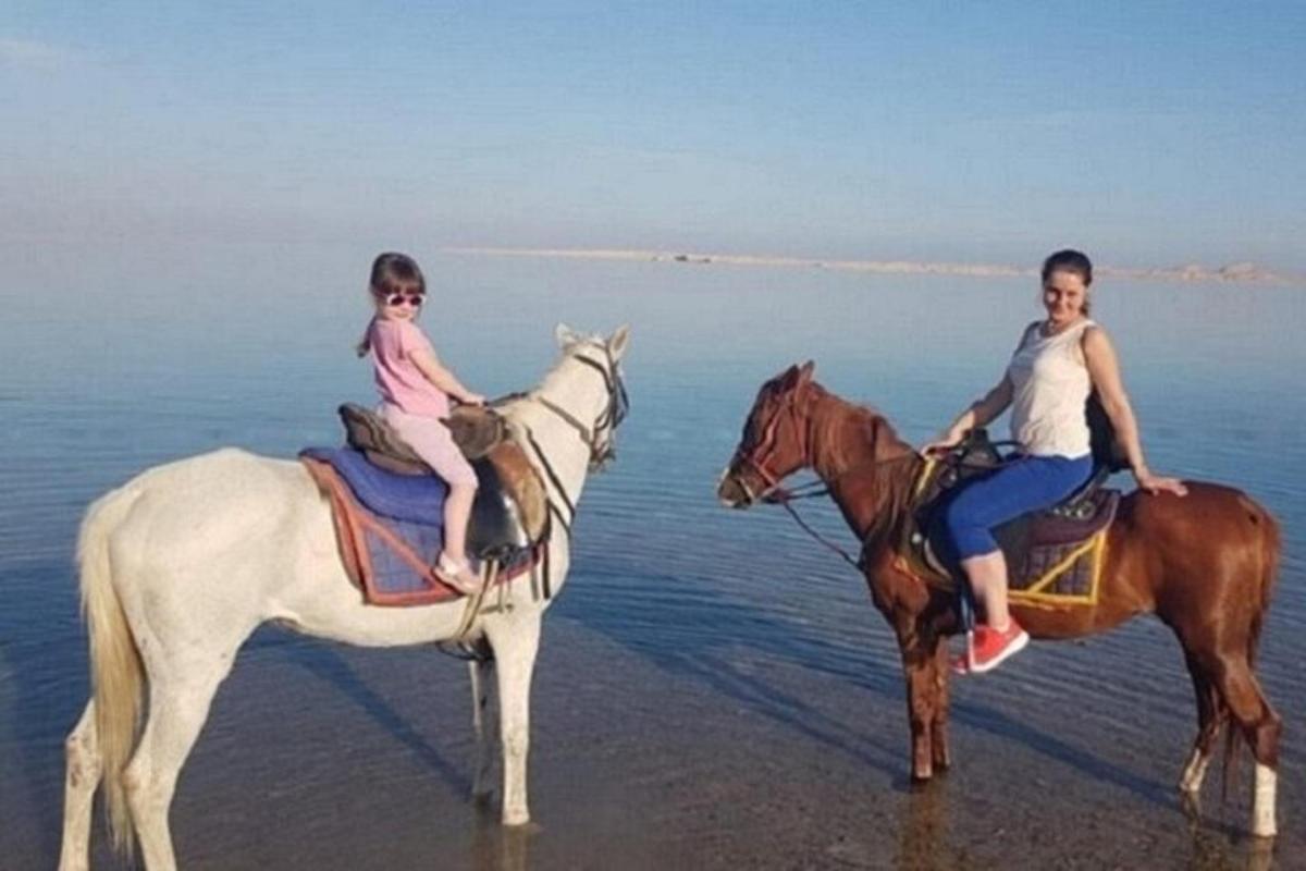 a woman and a girl riding horses on the beach