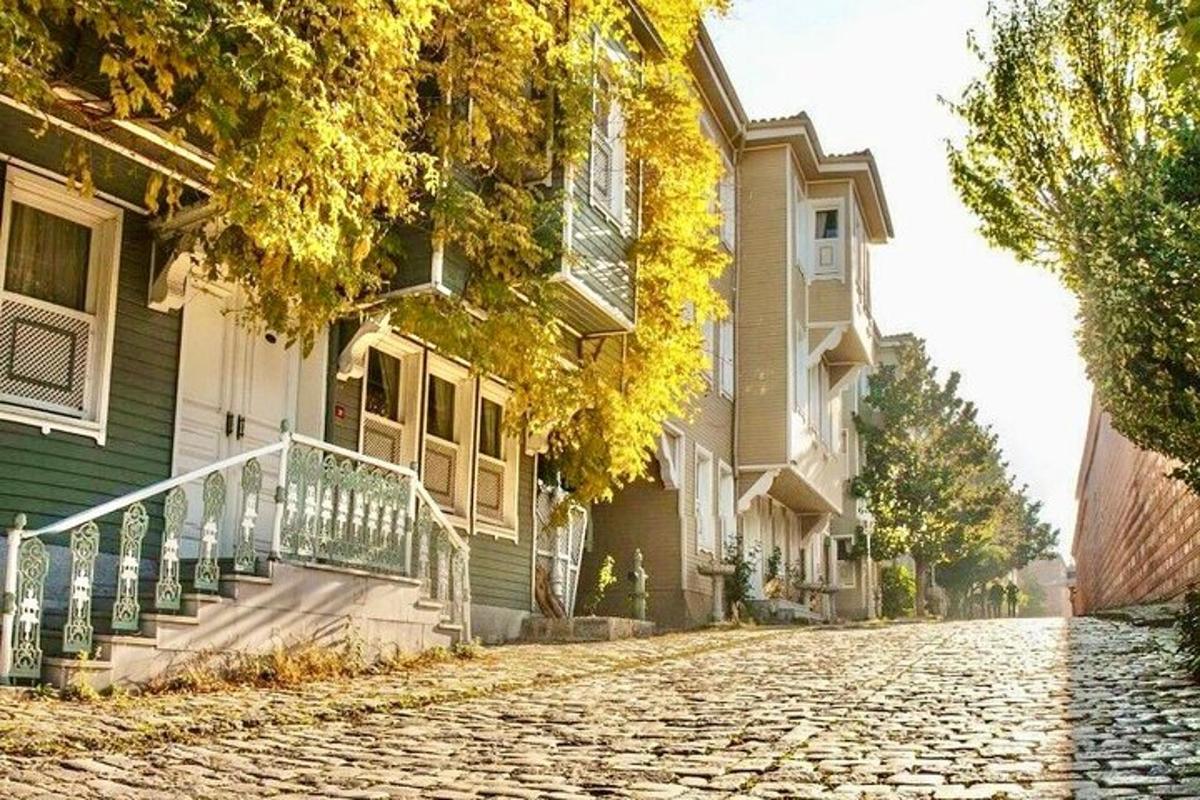 una calle adoquinada frente a una casa