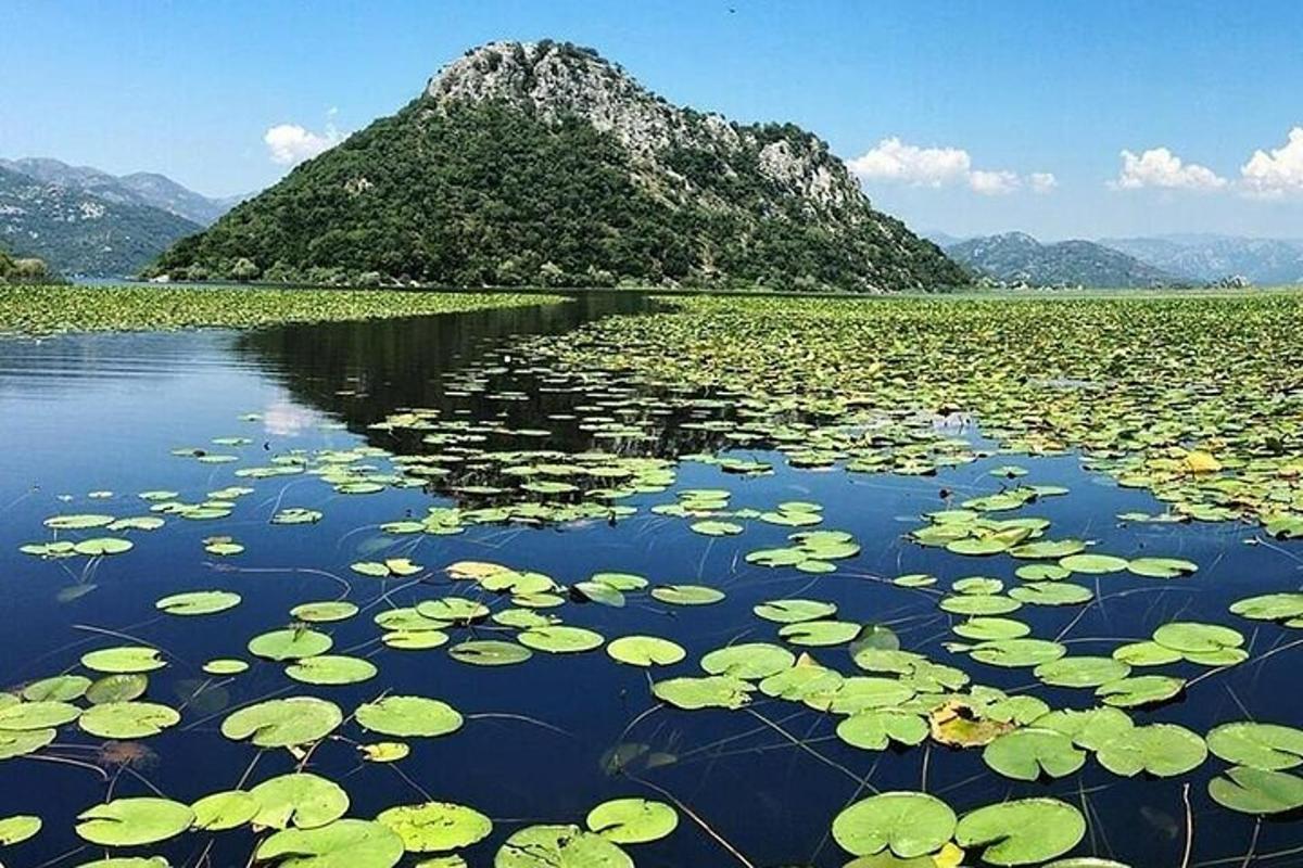 Lankytinos vietos ar pramogos nuotrauka numeris 2