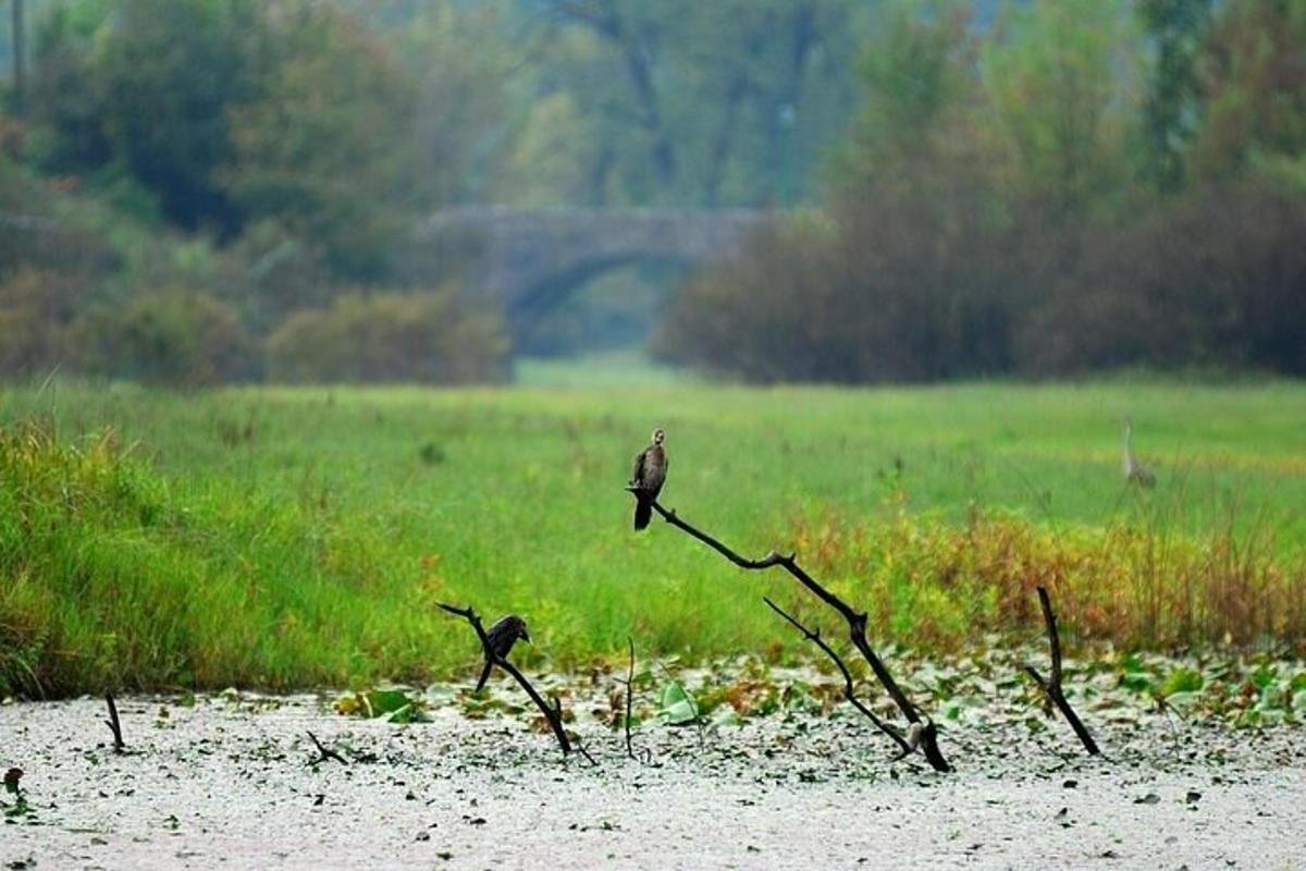 Fotografia atrakcie č. 6