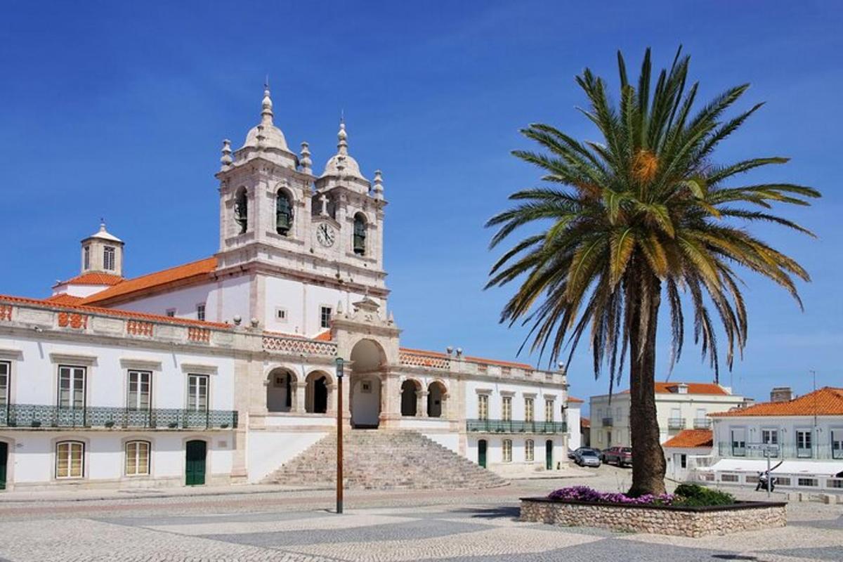 a building with a clock tower and a palm tree