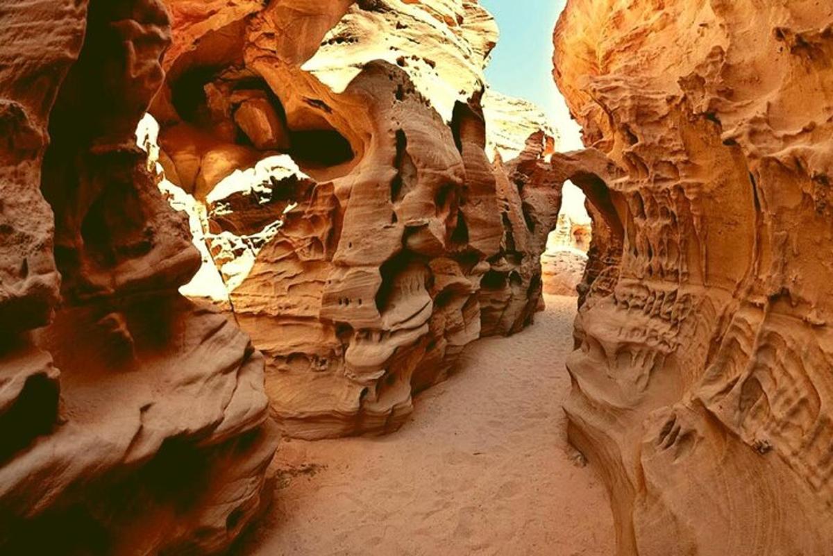 una vista di un canyon con rocce nel deserto