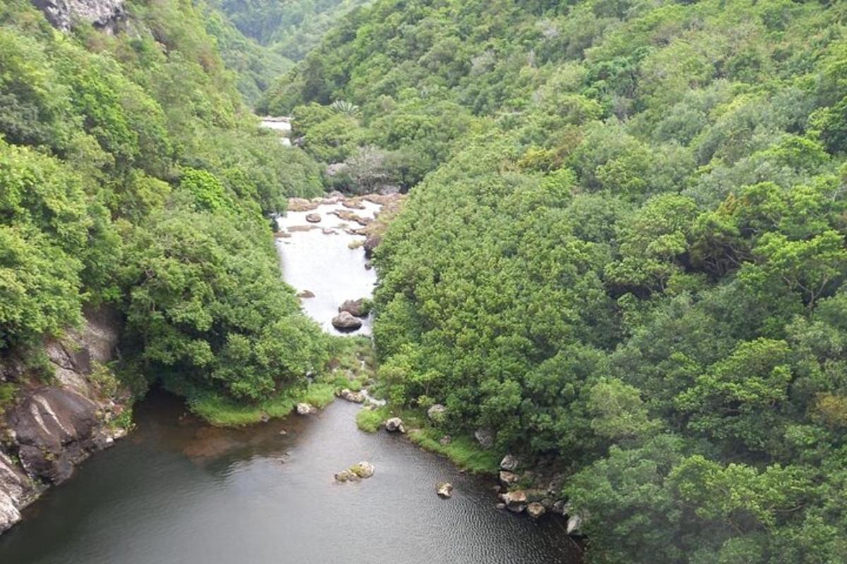 una vista aerea di un fiume in una foresta