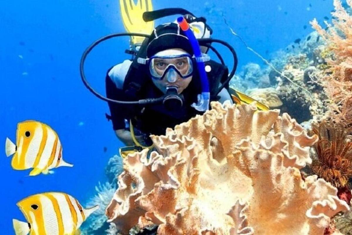 osoba v potápěčském obleku a masce na korálu