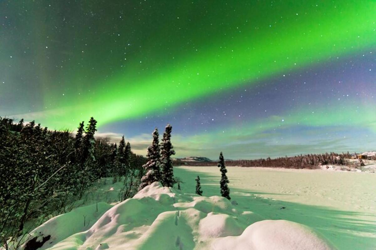 an aurora in the sky with snow and trees